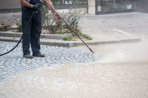 Best Gutter Cleaning  in Deltona, FL